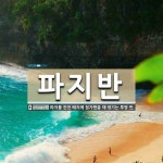 파지반 뜻: 파지를 한천 배지에 첨가했을 때 생기는 투명 반.