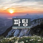 파팅 뜻: 머리카락을 갈라 나누는 일. 파팅 뜻: 머리카락을 갈라 나누는 일. 