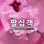 팔십객 뜻: 나이가 팔십 전후인 사람.