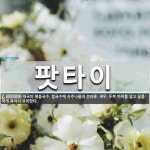 팟타이 뜻