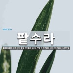 팥수라 뜻: 궁중에서, 팥을 찐 물로 짓거나 맷돌에 탄 팥을 섞어 지은 밥을 이르던 말.