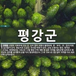 산이 많아 교통이 불편하며, 콩ㆍ보리ㆍ조ㆍ감자 따위의 농산물이 평강군 뜻: 강원도 서북부에 있는 군. 산이 많아 교통이 불편하며...