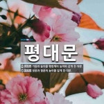 평대문 뜻