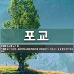 포교 뜻: 종교를 널리 폄., 조선 시대에, 포도청에 속하여 범죄자를 잡아들이거나 다스리는 일을 맡아 [국어 사전]