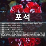 포석 뜻