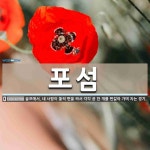 포섬 뜻: 골프에서, 네 사람이 둘씩 편을 짜서 각각 공 한 개를 번갈아 가며 치는 경기.