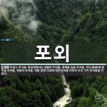 포외 뜻