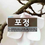 포정 뜻