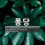 퐁당 뜻: 작고 단단한 물건이 물에 떨어지거나 빠질 때 가볍게 한 번 나는 소리., 밥이나 죽 따위가 [국어 사전]