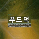 푸드덕 뜻