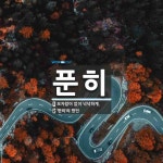푼히 뜻: 모자람이 없이 넉넉하게., ‘편히’의 방언 [국어 사전]