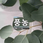 풍농 뜻: 농사가 잘됨.