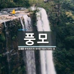 풍모 뜻: 풍채(風采)와 용모를 아울러 이르는 말.