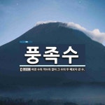 풍족수 뜻: 어떤 수의 약수의 합이 그 수의 두 배보다 큰 수.