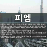 피엠 뜻: ‘오후’를 달리 이르는 말. 시각을 나타내는 숫자 앞에 덧붙여 ‘오후’의 뜻을 나타낸다., [국어 사전]
