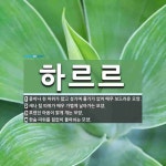 하르르 뜻: 종이나 천 따위가 얇고 성기며 풀기가 없어 매우 보드라운 모양., 새나 털 따위가 매우 가 [국어 사전]