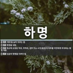 하명 뜻: ‘명령’을 높여 이르는 말., 명령을 내림., 법규에 규정된 작위, 부작위, 급부 또는 수 [국어 사전]