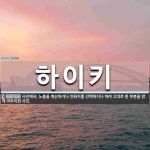 하이키 뜻: 사진에서, 노출을 계산하거나 인화지를 선택하거나 하여 고의로 흰 부분을 밝게 마무리한 사진