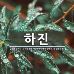 하진 뜻: 강이나 내, 또는 좁은 바닷목에서 배가 건너다니는 일정한 곳.