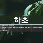 하초 뜻: 숲의 밑부분에 있는 풀., 삼초(三焦)의 하나. 배꼽 아래의 부위로 콩팥, 방광, 대장, [국어 사전] 하초 뜻: 숲의 밑부분에... 