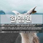 한림원 뜻: 고려 시대에, 임금의 명령을 받아 문서를 꾸미는 일을 맡아보던 관아. 현종 때 학사원을 고 [국어 사전]