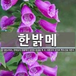 한밝메 뜻: 대종교에서, 한배검이 한울에서 내려와 참결을 편 곳. 대종교의 성지로 백두산을 이른다.