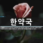 한약국 뜻: 한약사가 한의사의 처방전에 따라 한약을 조제하거나, 보건 복지 가족부 장관이 고시한 100