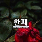 한패 뜻: 같은 동아리. 또는 같은 패.