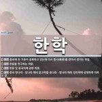 한학 뜻: 몸속에 찬 기운이 잠복하고 있는데 다시 풍사(風邪)를 받아서 생기는 학질., 한문을 연구하 [국어 사전]