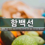 함백선 뜻: 강원도 정선군 신동읍 예미역에서 조동역에 이르는 철도. 1957년에 개통되었다. 길이는 9