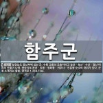 함주군 뜻: 함경남도 중남부에 있는 군. 수륙 교통의 요충지이고 농산ㆍ축산ㆍ수산ㆍ광산 따위의 산물이 나