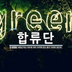 합류단 뜻: 교통섬 또는 차도와 차도 사이에 있는 중간 지대의 첨단부.