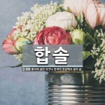 합솔 뜻: 흩어져 살던 식구나 친척이 한집에서 같이 삶.