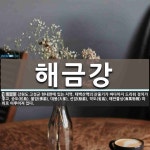 해금강 뜻: 강원도 고성군 현내면에 있는 지역. 태백산맥의 산줄기가 바다까지 드리워 경치가 좋고, 송도