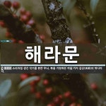 해라문 뜻: 소라처럼 생긴 악기를 본뜬 무늬. 복을 기원하는 여덟 가지 길상(吉祥)의 하나이다.