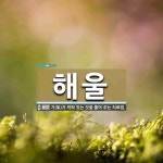 해울 뜻: 기(氣)가 막혀 있는 것을 풀어 주는 치료법.