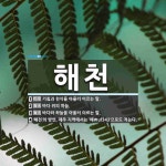 해천 뜻: 기침과 천식을 아울러 이르는 말., 바다 위의 하늘., 바다와 하늘을 아울러 이르는 말., [국어 사전]