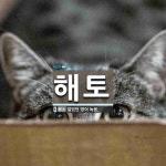 해토 뜻: 얼었던 땅이 녹음.