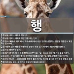 행 뜻: 글을 가로나 세로로 벌인 것., 글을 가로나 세로로 벌인 것을 세는 단위., 한시(漢詩)의 [국어 사전]