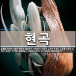 현곡 뜻: 하천의 지류가 본류와 합류하는 지점에서, 비탈이 급하여 폭포나 급류를 이루는 골짜기. 갈래