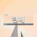 현매 뜻: 어진 누이라는 뜻으로, 자기의 누이나 남의 누이를 높여 이르는 말.