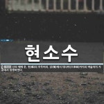 현소수 뜻: 신라 때에 둔, 현(縣)의 우두머리. 당(幢)에서 대나마(大奈麻)까지의 벼슬아치 가운데서 현소수 뜻: 신라... 
