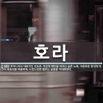 호라 뜻: 루마니아의 대표적인 민요로, 하강형 패턴을 따르는 슬픈 노래. 자유로운 형식에 약간의 즉흥