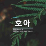호아 뜻: 호랑이의 이., ‘용사’나 ‘장수’를 달리 이르는 말. [국어 사전]