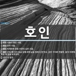 호인 뜻: 성품이 좋은 사람., 만주 사람., 미개하여 문화 수준이 낮은 사람., 군도(軍刀)의 칼날 [국어 사전]