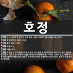 호정 뜻: 고려 시대에 둔 향직의 넷째 등급. 성종 2년(983)에 낭중을 고친 것이다., 집 안에 [국어 사전] 호정 뜻: 고려... 