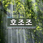 호조조 뜻