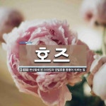 호즈 뜻