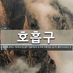 호흡구 뜻: 상어나 가오릿과 및 일부 연골어강의 입 바로 뒤에 있는 공기나 물이 드나드는 작은 구멍.