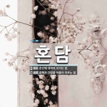 혼담 뜻: 혼인에 대하여 오가는 말., 혼백과 간담을 아울러 이르는 말. [국어 사전]